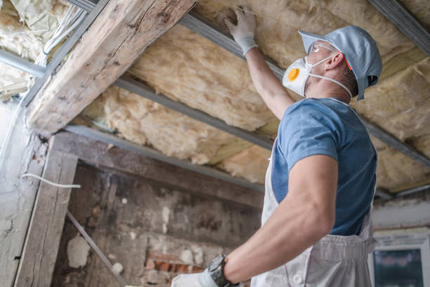 Best Insulation Maintenance and Repair in Benton, IL