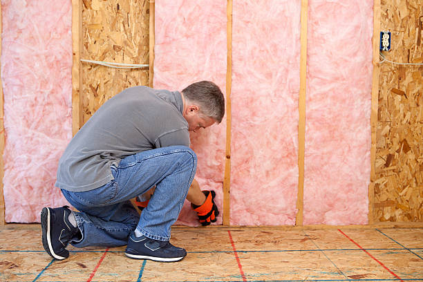 Best Geographic-Specific Insulation Services in Benton, IL