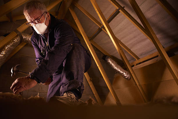 Best Specialized Insulation Services in Benton, IL